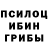 Псилоцибиновые грибы Psilocybine cubensis Colin MacPhee