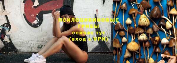 Альфа ПВП Алексеевка