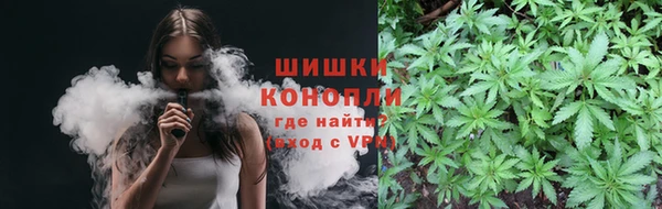 скорость Алзамай