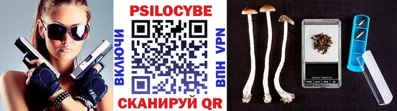 где продают   Тверь  Галлюциногенные грибы мицелий 